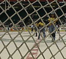 Into the net